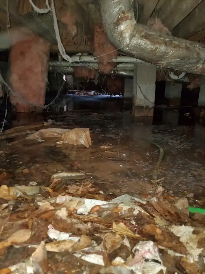 Crawl space flood assessment for Leak Detection & Repair in Summerfield